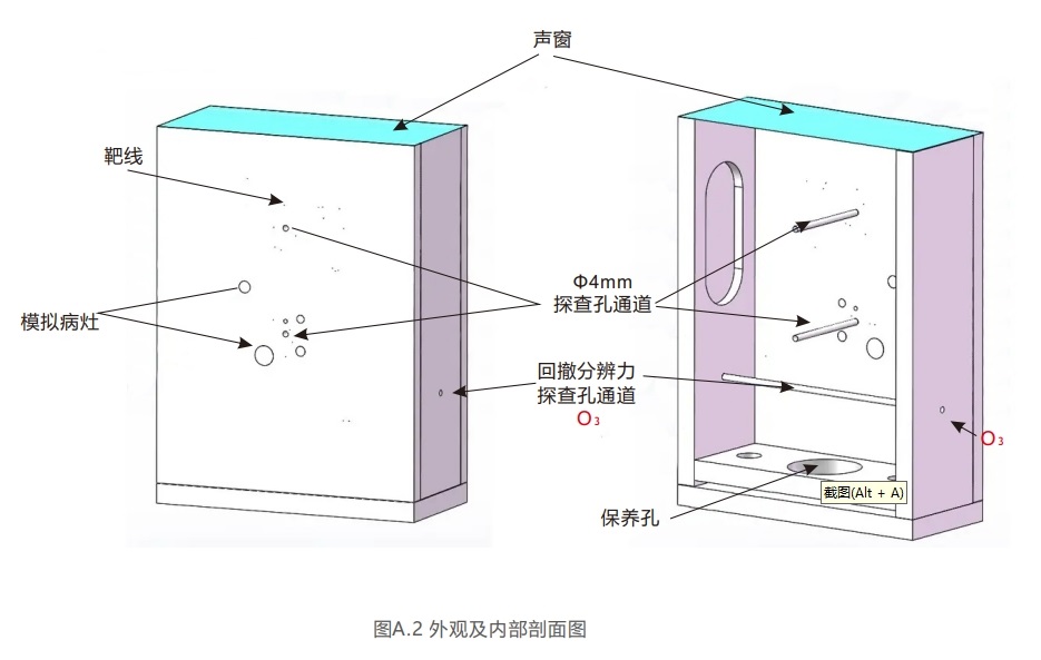 腔內掃查超聲模體2